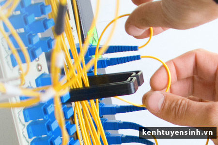 Mạng doanh nghiệp căn bản